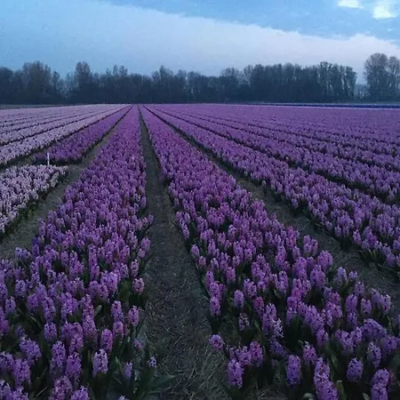 Luxe Met Sauna De Barn Villa *