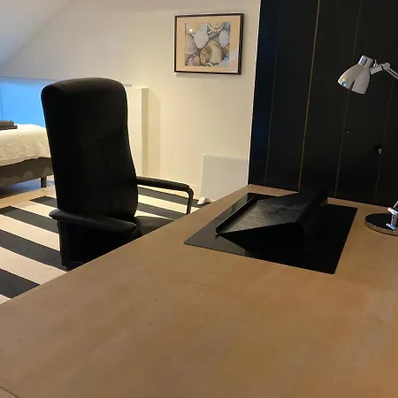Villa Luxe Met Sauna De Barn *