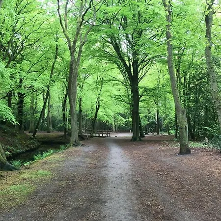 Luxe Met Sauna De Barn וילה ברחן