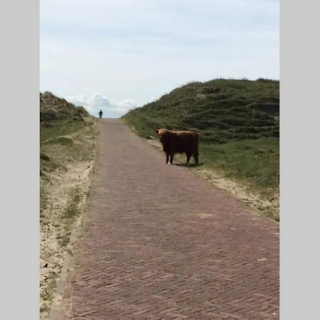 וילה Luxe Met Sauna De Barn *