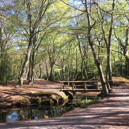 Luxe Met Sauna De Barn *