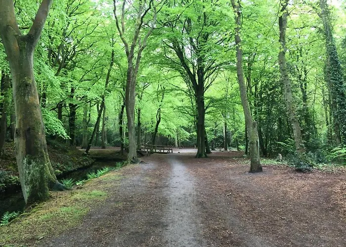 Luxe Met Sauna De Barn Villa Bergen