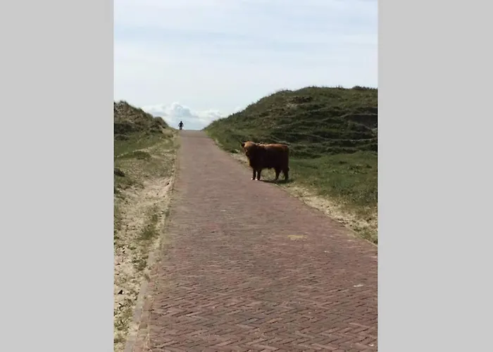 Villa Luxe Met Sauna De Barn *