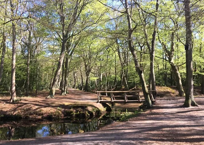 Luxe Met Sauna De Barn *