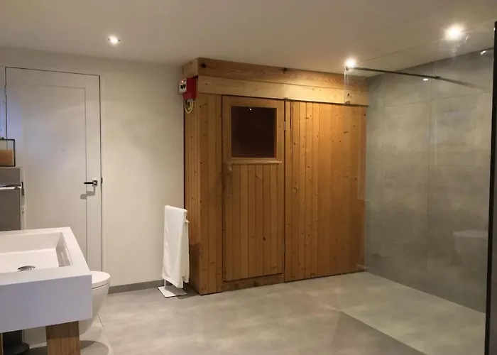 Villa Luxe Met Sauna De Barn *