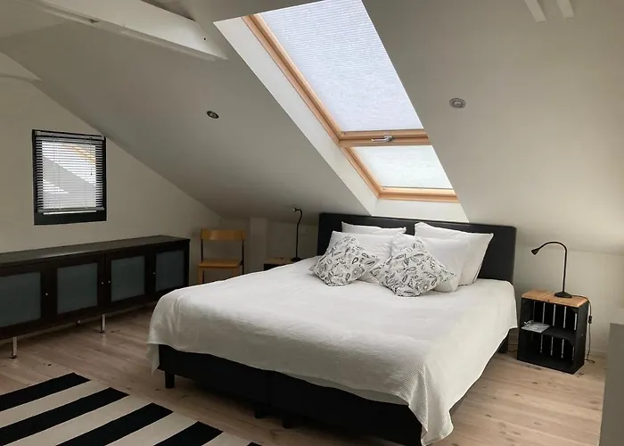 Luxe Met Sauna De Barn Villa *