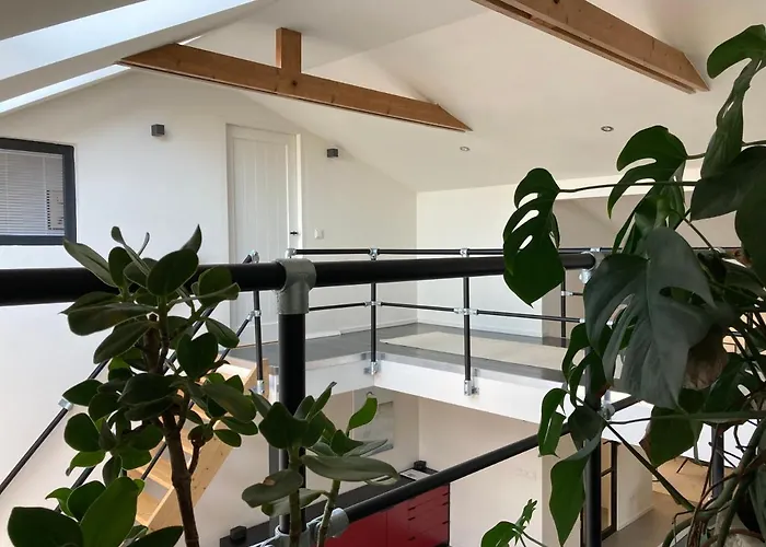 Luxe Met Sauna De Barn