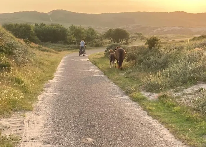 Luxe Met Sauna De Barn Bergen
