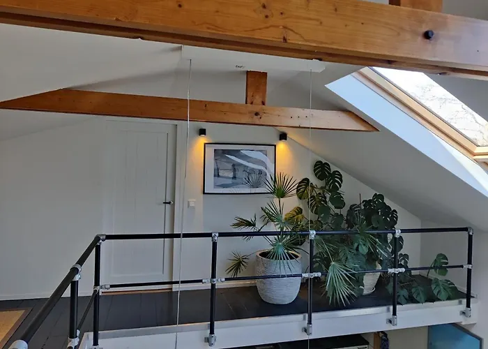 Luxe Met Sauna De Barn * Bergen